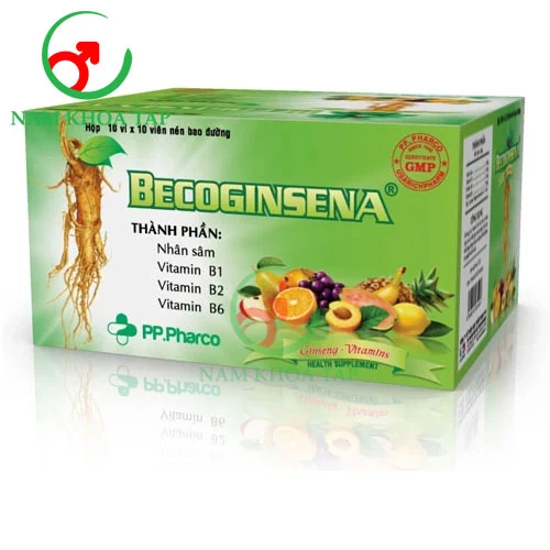 Becoginsena Usarichpharm - Hỗ trợ trị bệnh do thiếu vitamin B