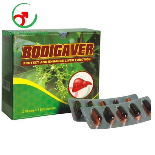 Bodigaver HDPharma - Hỗ trợ tăng cường chức năng gan