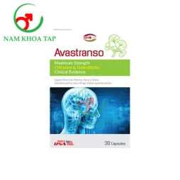 Avastranso Invapharm - Hỗ trợ hoạt huyết, tăng cường máu lên não