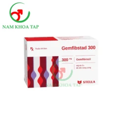 Gemfibstad 300mg Stella - Thuốc điều trị bệnh tăng lipid máu
