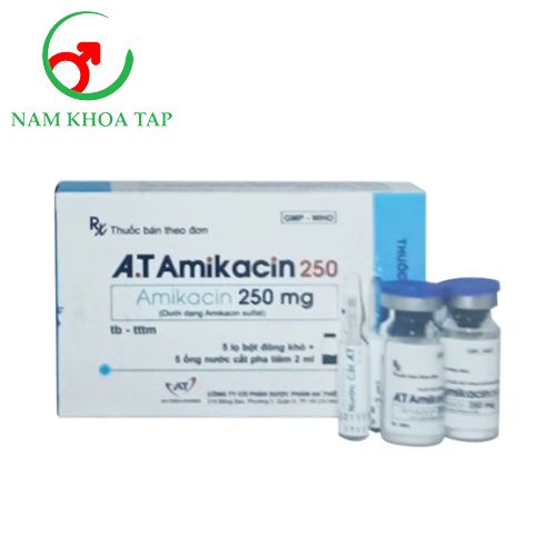 A.T Amikacin 250 Dược phẩm An Thiên - Điều trị nhiễm khuẩn nặng
