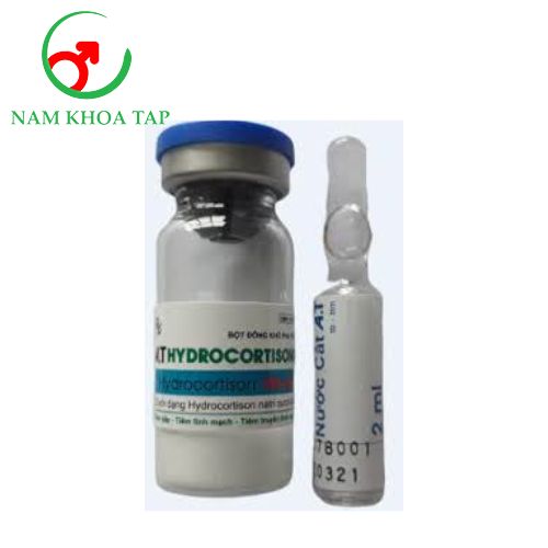 A.T Hydrocortisone 100mg Dược phẩm An Thiên - Hỗ trợ trường hợp cần tác dụng nhanh và mạnh của corticosteroid