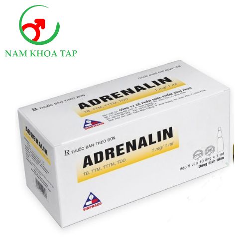 Adrenalin 1mg/1ml Vinphaco (Hộp 50 ống) - Cấp cứu sốc phản vệ hay các cơ co thắt hen phế quản