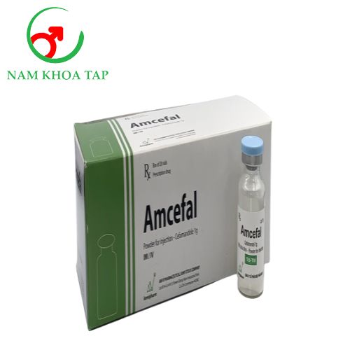 Amcefal 1g Amvipharm - Điều trị các nhiễm khuẩn đường hô hấp dưới, nhiễm khuẩn đường tiết niệu