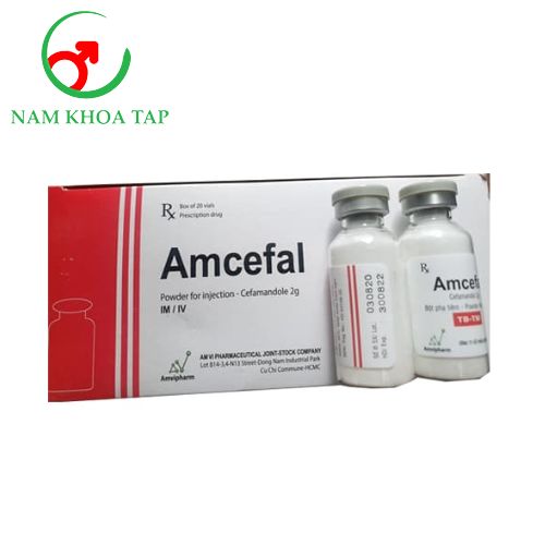 Amcefal 2g Amvipharm - Giải quyết các vấn đề như nhiễm khẩn hô hấp
