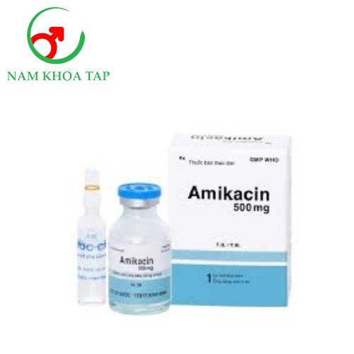 Amikacin 500 Bidiphar - Điều trị nhiễm khuẩn hiệu quả