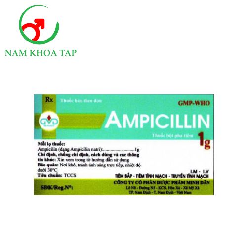 Ampicillin 1g MD Pharco - Điều trị viêm đường hô hấp trên, viêm đường tiết niệu