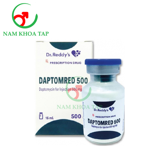 Daptomred 500 Dr. Reddy’s - Thuốc điều trị nhiễm khuẩn của Ấn Độ