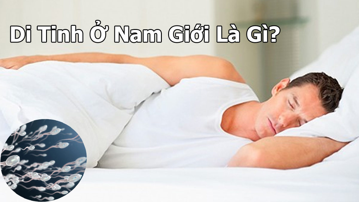 Di Tinh Ở Nam Giới Là Gì? Nguyên Nhân, Triệu Chứng Và Cách Chữa Trị?
