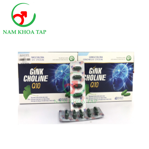 Gink Choline Q09 - Hỗ trợ tăng cường tuần hoàn não hiệu quả