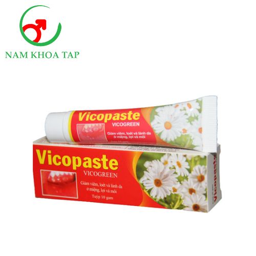 Vicopaste 10g Vicogreen - Hỗ trợ giảm nhiệt miệng