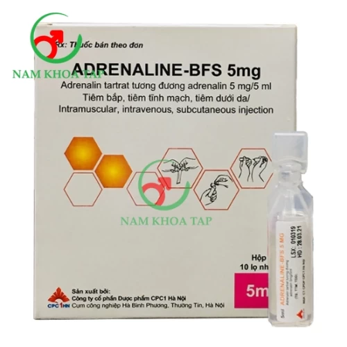 Adrenaline-BFS 5mg Dược phẩm CPC1 Hà Nội - Điều trị dị ứng cấp tính và sốc phản vệ, cầm máu trong xuất huyết đường tiêu hóa trên