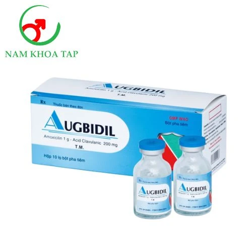 Augbidil 1g/200mg Bidiphar (tiêm) - Điều trị các trường hợp nhiễm khuẩn hiệu quả