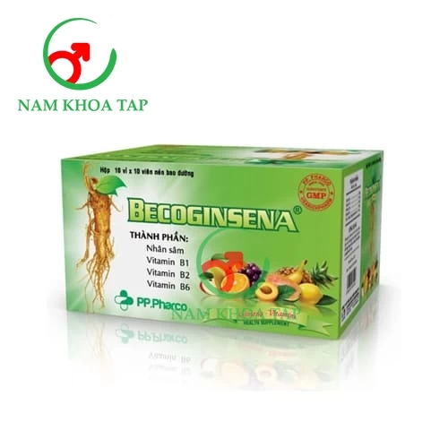 Becoginsena Usarichpharm - Hỗ trợ trị bệnh do thiếu vitamin B