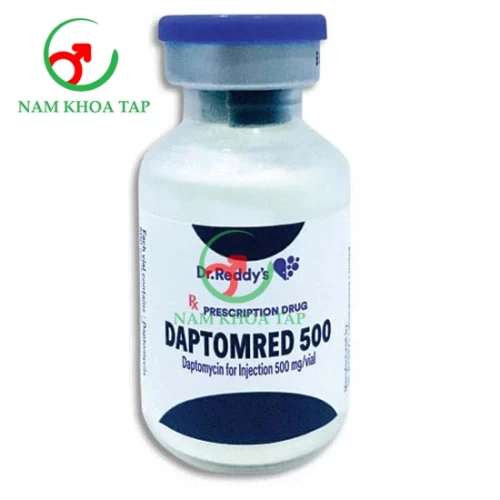 Daptomred 500 Dr. Reddy’s - Thuốc điều trị nhiễm khuẩn của Ấn Độ