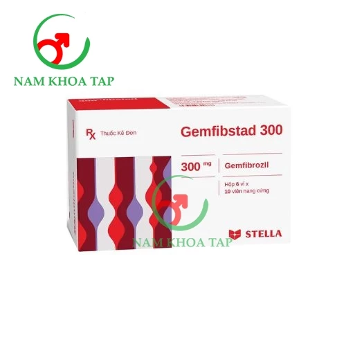 Gemfibstad 300mg Stella - Thuốc điều trị bệnh tăng lipid máu