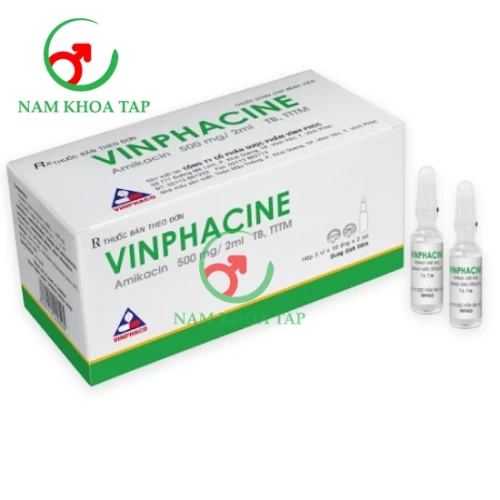 Vinphacine 500mg/2ml Vinphaco - Điều trị Nhiễm khuẩn do vi khuẩn