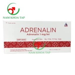 Adrenalin 1mg/1ml Vinphaco (Hộp 50 ống) - Cấp cứu sốc phản vệ hay các cơ co thắt hen phế quản