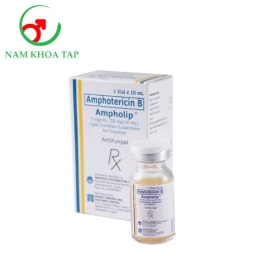Ampholip 50mg/10ml Bharat - Dùng điều trị cho các bệnh nấm tiến triển, nguy cơ tử vong cao