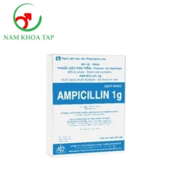 Ampicillin 1g Mekophar - Điều trị viêm đường hô hấp, viêm xoang, viêm tai giữa