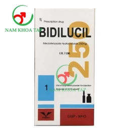 Bidilucil 250 Bidiphar - Điều trị các di chứng chức năng liên quan đến nhồi máu não hoặc đột quỵ