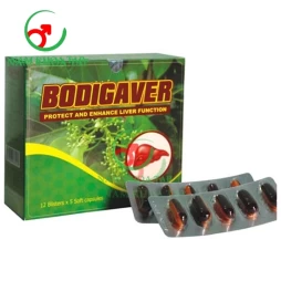 Bodigaver HDPharma - Hỗ trợ tăng cường chức năng gan