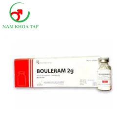 Bouleram 2g Am Vi - Điều trị các bệnh lý nhiễm khuẩn như viêm xoang, viêm tai giữa