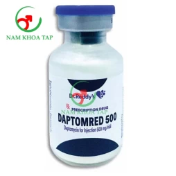 Daptomred 500 Dr. Reddy’s - Thuốc điều trị nhiễm khuẩn của Ấn Độ