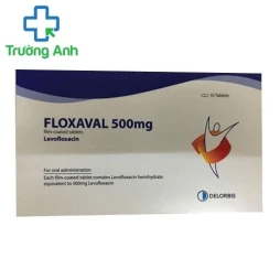 Floxaval 500mg Delorbis - Thuốc điều trị nhiễm khuẩn