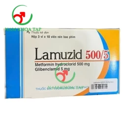 Lamuzid 500/5 - Savipharm