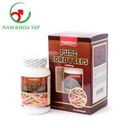 Pure Cordyceps - Tăng cường hệ miễn dịch, chống suy nhược cơ thể