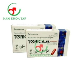 Toricam Capsules 20mg - Piroxicam 20mg U Chu