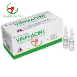 Vinphacine 500mg/2ml Vinphaco - Điều trị Nhiễm khuẩn do vi khuẩn